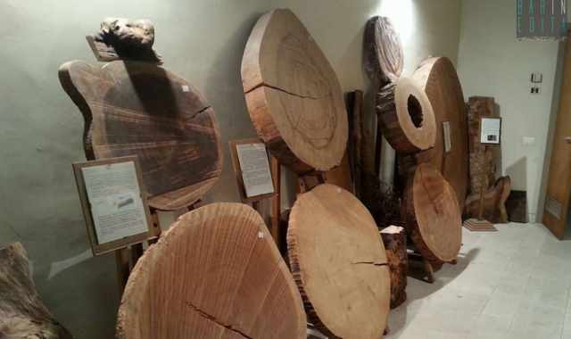 A Molfetta c' un museo del legno: si tratta dell'unica 